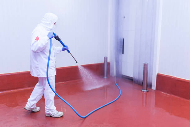 Best Pre-Holiday Cleaning  in Alum Creek, WV